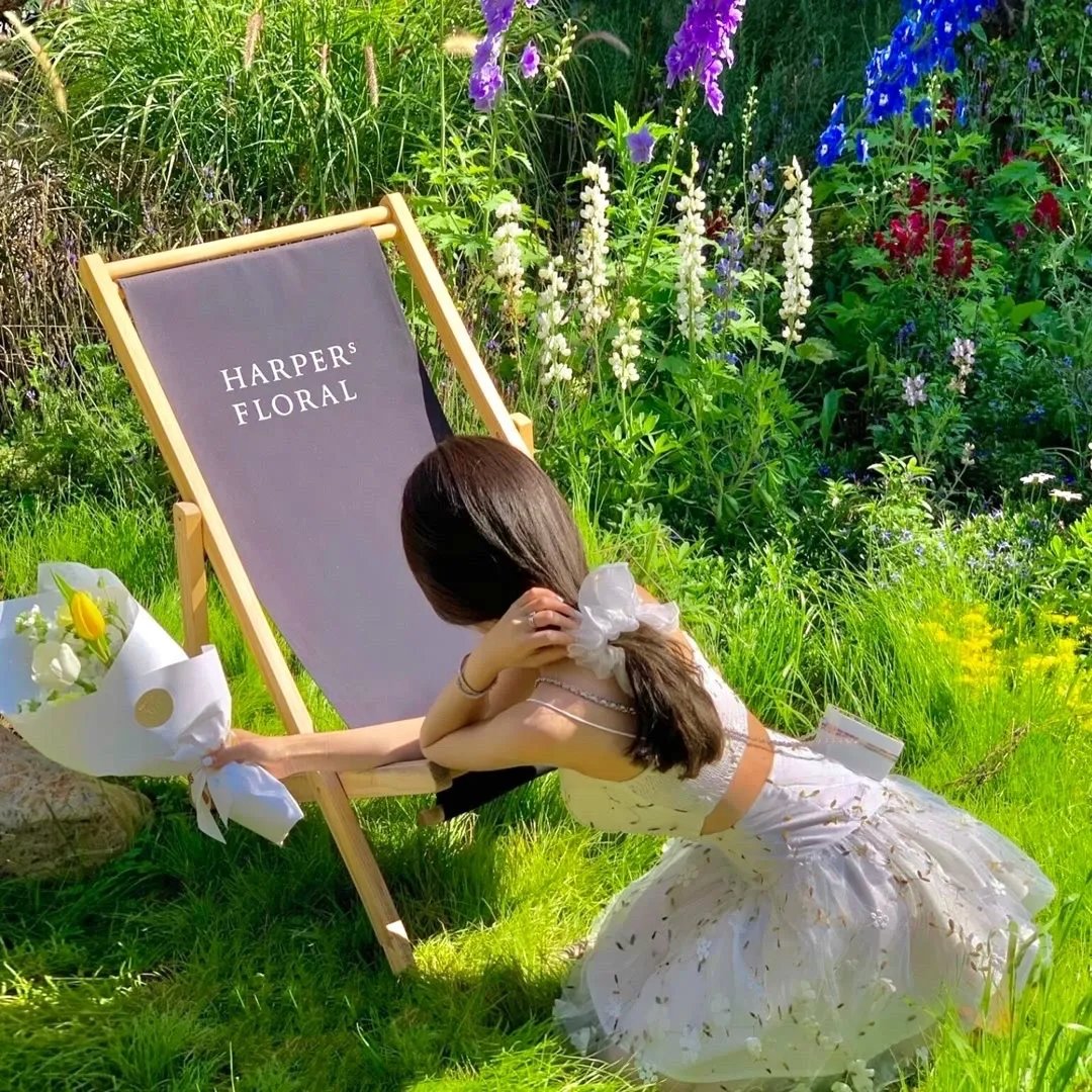 捅马蜂窝的女孩